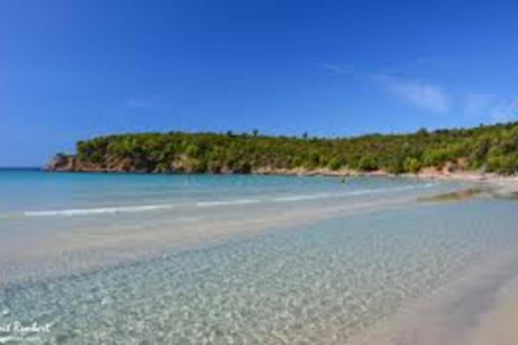 Studio Climatise Proche Port Et Plages 라론드레모레 외부 사진